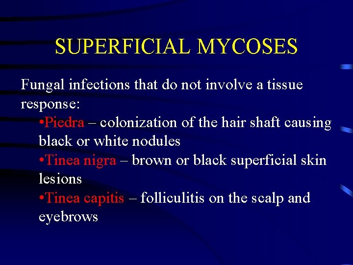 SUPERFICIAL MYCOSES Fungal infections that do not involve a tissue response: • Piedra –