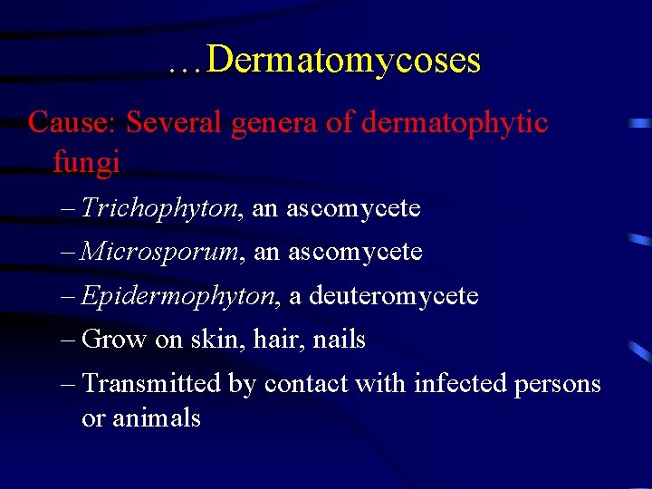 …Dermatomycoses Cause: Several genera of dermatophytic fungi – Trichophyton, an ascomycete – Microsporum, an