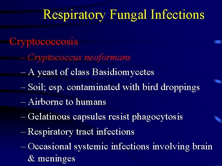 Respiratory Fungal Infections Cryptococcosis – Cryptococcus neoformans – A yeast of class Basidiomycetes –