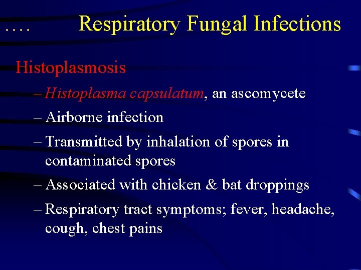 …. Respiratory Fungal Infections Histoplasmosis – Histoplasma capsulatum, an ascomycete – Airborne infection –