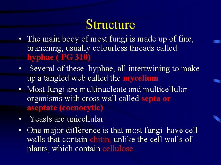 Structure • The main body of most fungi is made up of fine, branching,