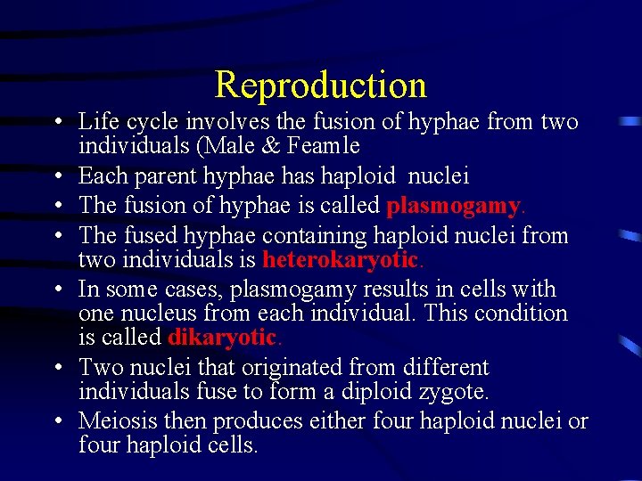 Reproduction • Life cycle involves the fusion of hyphae from two individuals (Male &