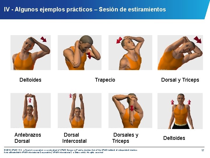 IV - Algunos ejemplos prácticos – Sesión de estiramientos Deltoides Antebrazos Dorsal Trapecio Dorsal