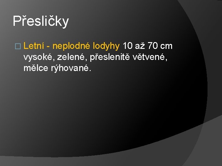 Přesličky � Letní - neplodné lodyhy 10 až 70 cm vysoké, zelené, přeslenitě větvené,