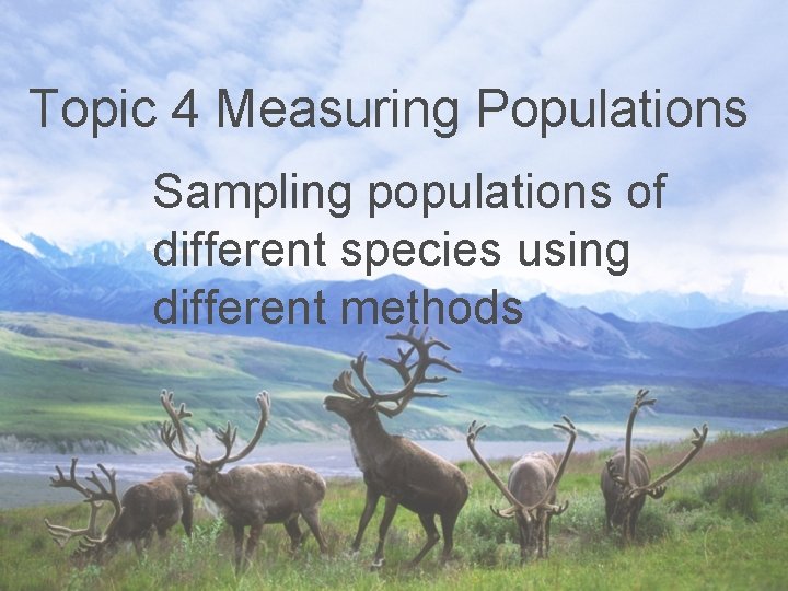 Topic 4 Measuring Populations Sampling populations of different species using different methods 