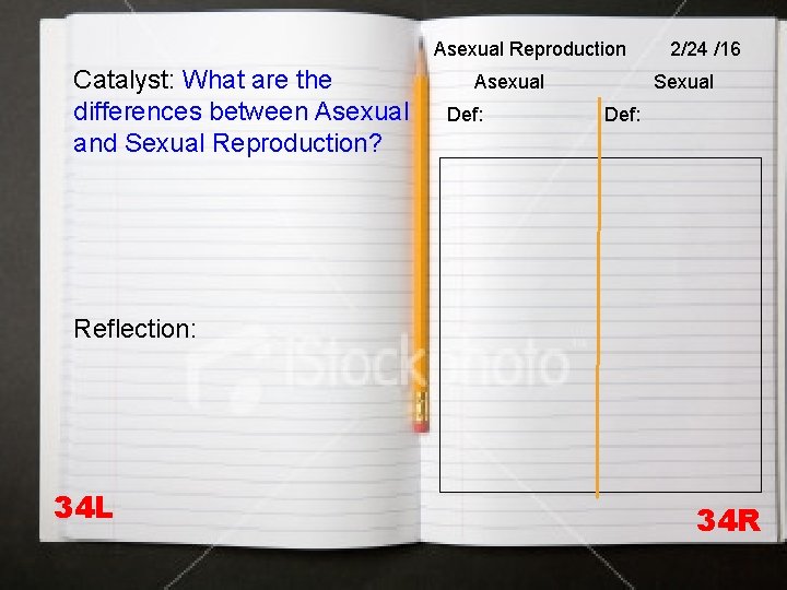 Asexual Reproduction Catalyst: What are the differences between Asexual and Sexual Reproduction? Asexual Def: