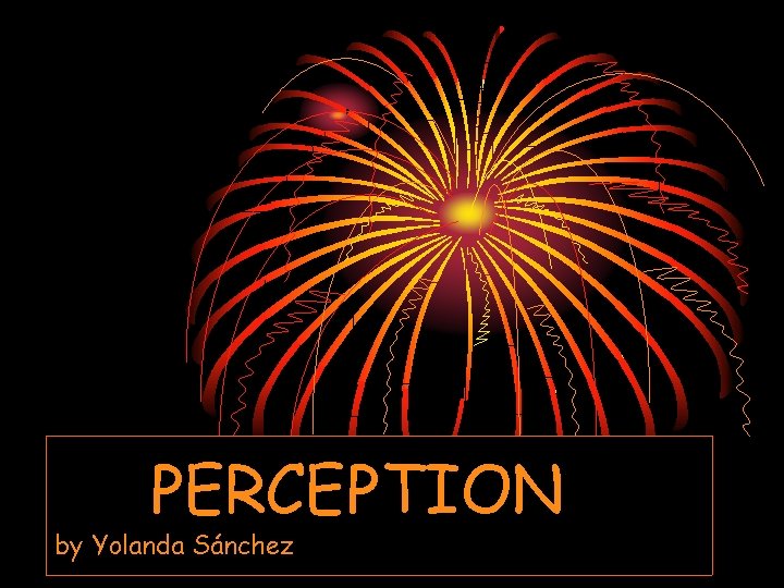 PERCEPTION by Yolanda Sánchez 