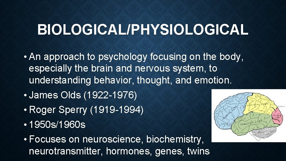 BIOLOGICAL/PHYSIOLOGICAL • An approach to psychology focusing on the body, especially the brain and