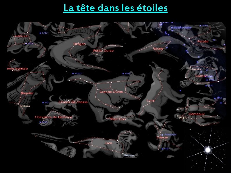 La tête dans les étoiles 