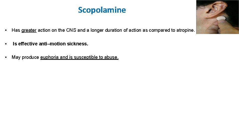 Scopolamine • Has greater action on the CNS and a longer duration of action