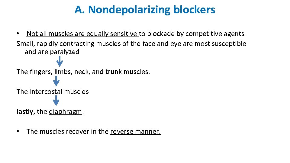 A. Nondepolarizing blockers • Not all muscles are equally sensitive to blockade by competitive