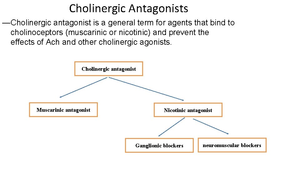 Cholinergic Antagonists —Cholinergic antagonist is a general term for agents that bind to cholinoceptors