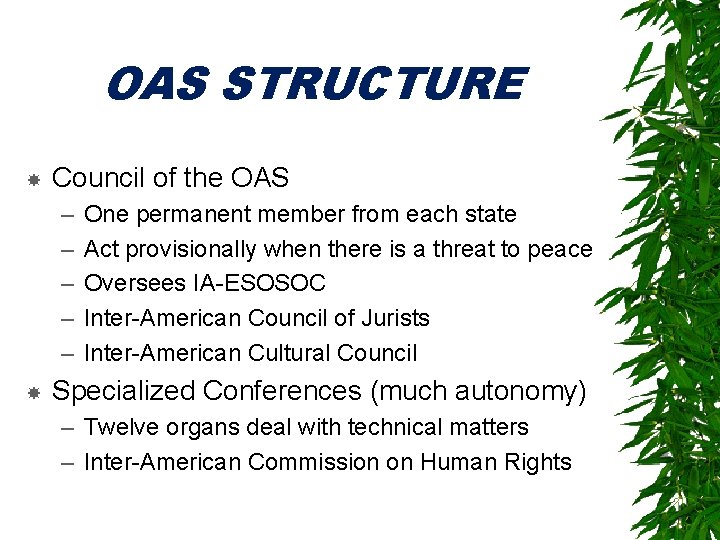 OAS STRUCTURE Council of the OAS – – – One permanent member from each
