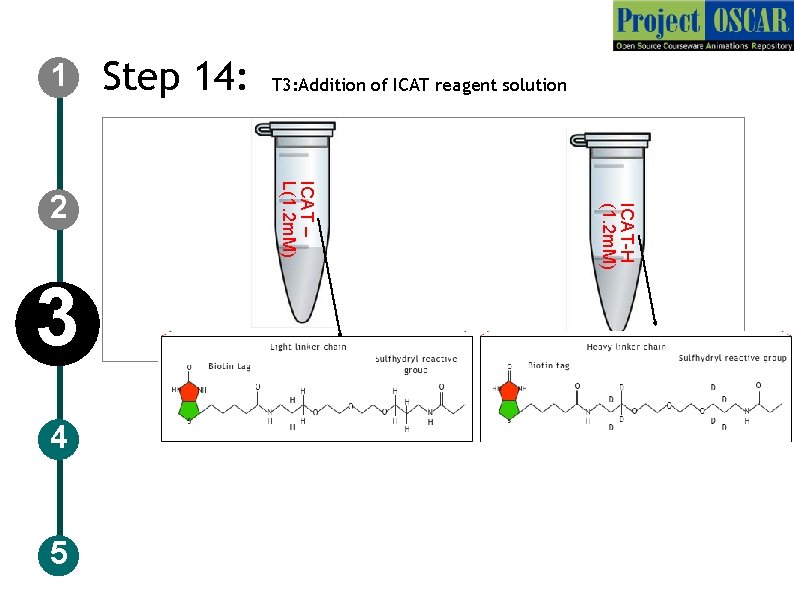 1 4 5 ICAT-H (1. 2 m. M) 3 T 3: Addition of ICAT