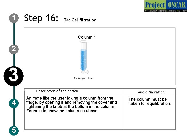1 Step 16: T 4: Gel filtration AE DE Coulmn Column 1 2 3