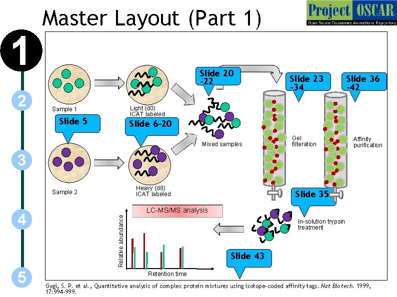 1 2 Master Layout (Part 1) Slide 20 -22 Slide 23 -34 Slide 36