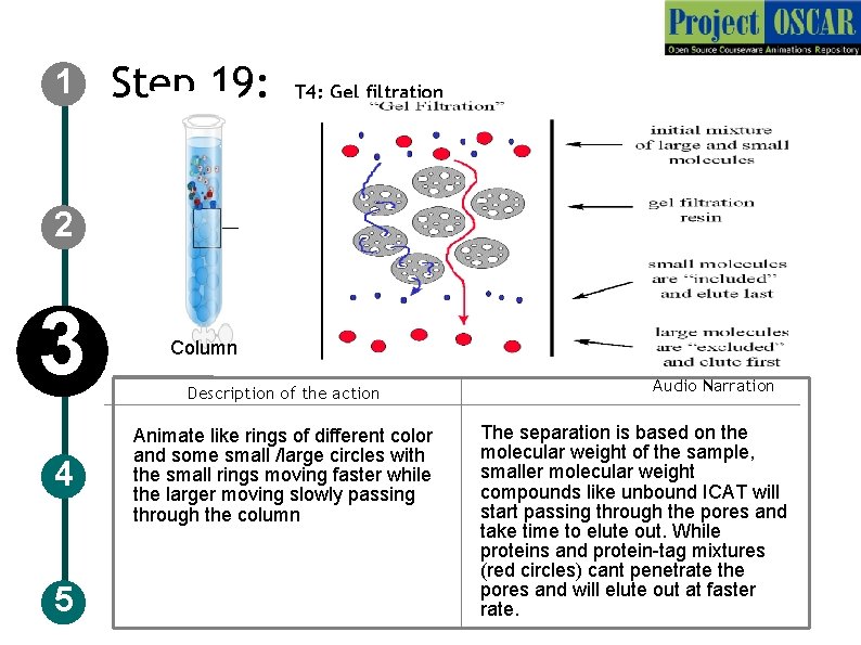 1 Step 19: T 4: Gel filtration 2 3 4 5 Column Description of