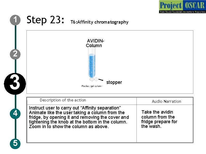 1 Step 23: T 6: Affinity chromatography AE DE Coulmn AVIDINColumn 2 3 stopper