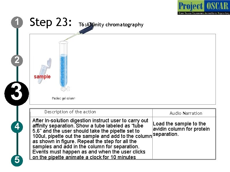 1 Step 23: T 6: Affinity chromatography 2 3 sample Description of the action