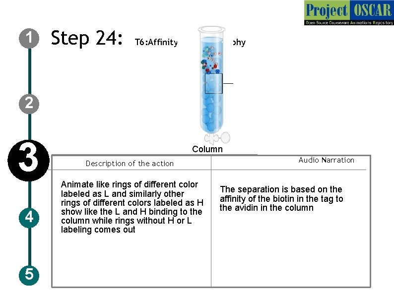 1 Step 24: T 6: Affinity chromatography 2 3 4 5 Column Description of