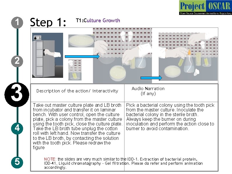 1 Step 1: T 1: Culture Growth 2 3 4 5 Description of the