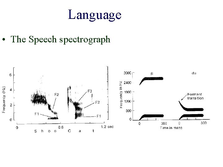Language • The Speech spectrograph Language • The Speech spectrograph