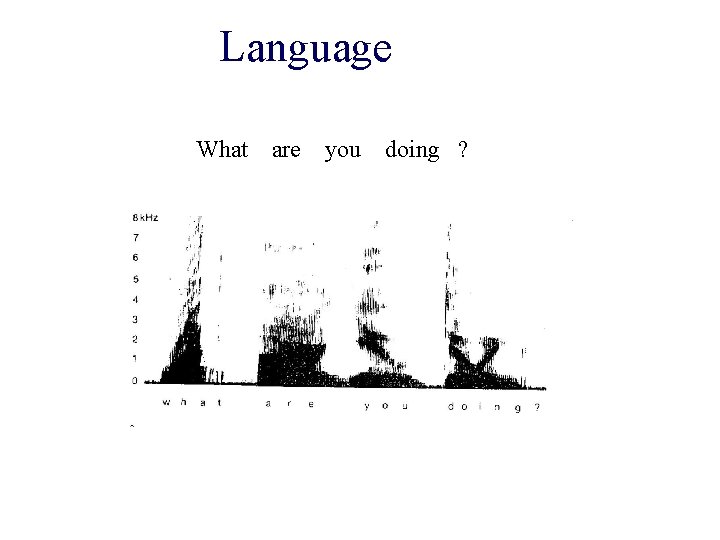 Language What are you doing ? Language What are you doing ?