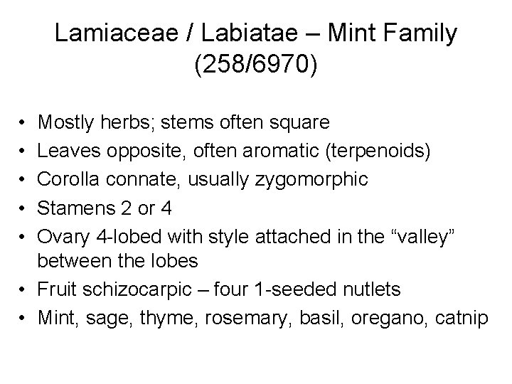 Lamiaceae / Labiatae – Mint Family (258/6970) • • • Mostly herbs; stems often