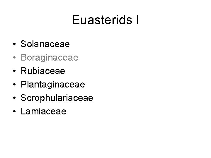 Euasterids I • • • Solanaceae Boraginaceae Rubiaceae Plantaginaceae Scrophulariaceae Lamiaceae 