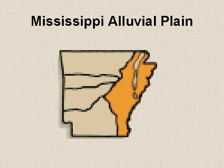 Mississippi Alluvial Plain 