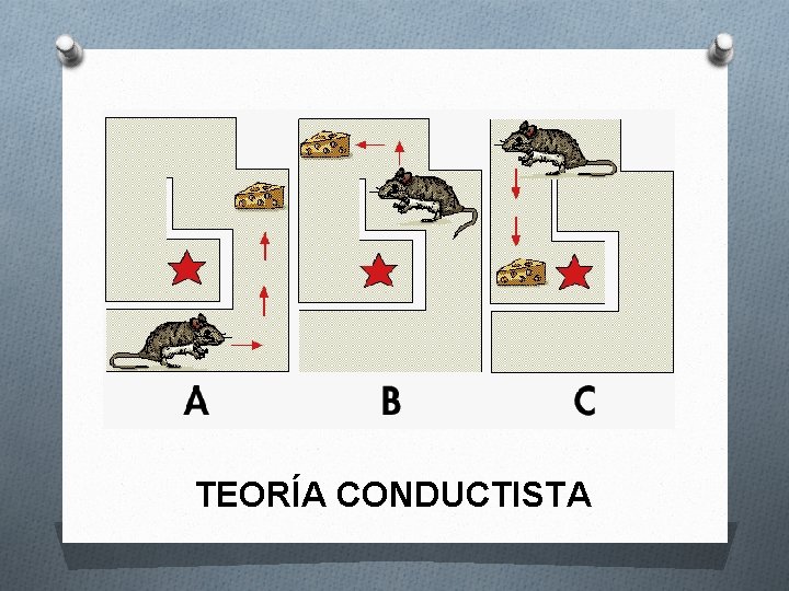 TEORÍA CONDUCTISTA 