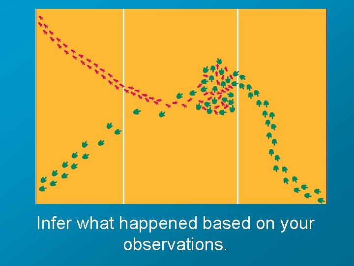 Infer what happened based on your observations. 