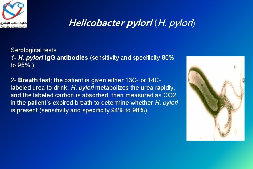 Helicobacter pylori (H. pylori) Serological tests ; 1 - H. pylori Ig. G antibodies