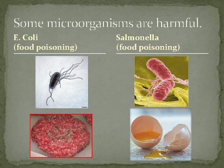 Some microorganisms are harmful. E. Coli (food poisoning) Salmonella (food poisoning) 