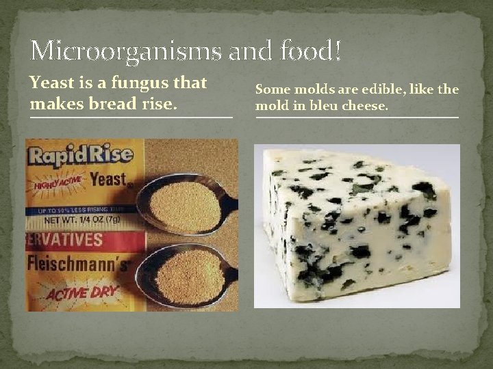 Microorganisms and food! Yeast is a fungus that makes bread rise. Some molds are