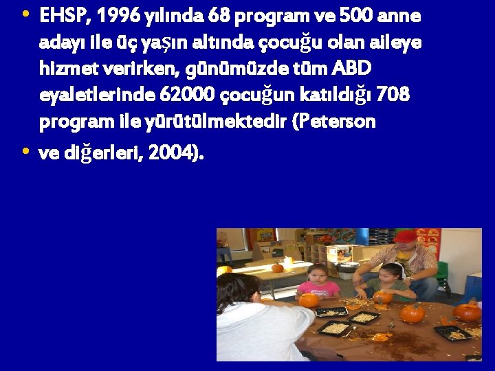  • EHSP, 1996 yılında 68 program ve 500 anne • adayı ile üç