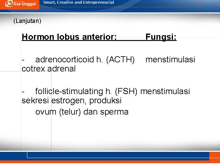 (Lanjutan) Hormon lobus anterior: Fungsi: - adrenocorticoid h. (ACTH) cotrex adrenal menstimulasi - follicle-stimulating