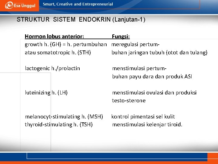 STRUKTUR SISTEM ENDOKRIN (Lanjutan-1) Hormon lobus anterior: Fungsi: growth h. (GH) = h. pertumbuhan