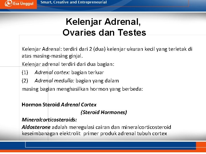 Kelenjar Adrenal, Ovaries dan Testes Kelenjar Adrenal: terdiri dari 2 (dua) kelenjar ukuran kecil