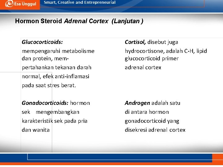 Hormon Steroid Adrenal Cortex (Lanjutan ) Glucocorticoids: mempengaruhi metabolisme dan protein, mempertahankan tekanan darah