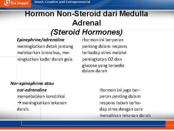 Hormon Non-Steroid dari Medulla Adrenal (Steroid Hormones) Epinephrine/adrenaline meningkatkan detak jantung melebarkan bronchus, meningkatkan