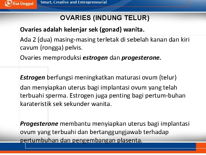 OVARIES (INDUNG TELUR) Ovaries adalah kelenjar sek (gonad) wanita. Ada 2 (dua) masing-masing terletak