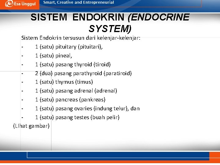 SISTEM ENDOKRIN (ENDOCRINE SYSTEM) Sistem Endokrin tersusun dari kelenjar-kelenjar: 1 (satu) pituitary (pituitari), 1