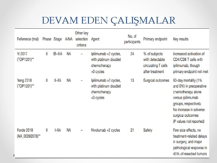 DEVAM EDEN ÇALIŞMALAR 