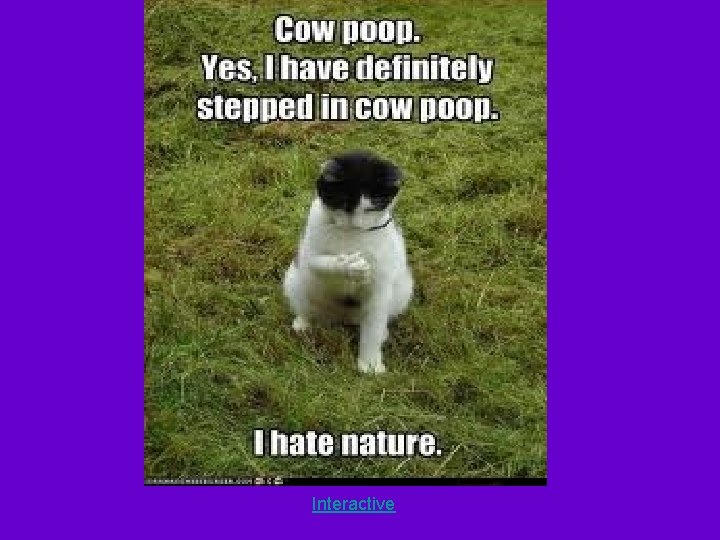 Interactive Interactive