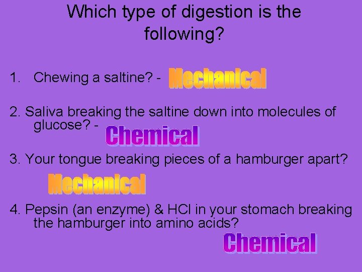 Which type of digestion is the following? 1. Chewing a saltine? 2. Saliva breaking Which type of digestion is the following? 1. Chewing a saltine? 2. Saliva breaking