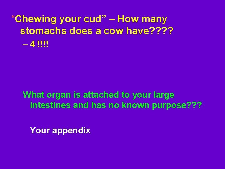 “Chewing your cud” – How many stomachs does a cow have? ? – 4 “Chewing your cud” – How many stomachs does a cow have? ? – 4