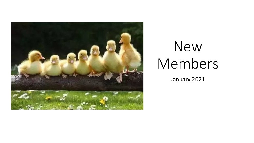 New Members January 2021 