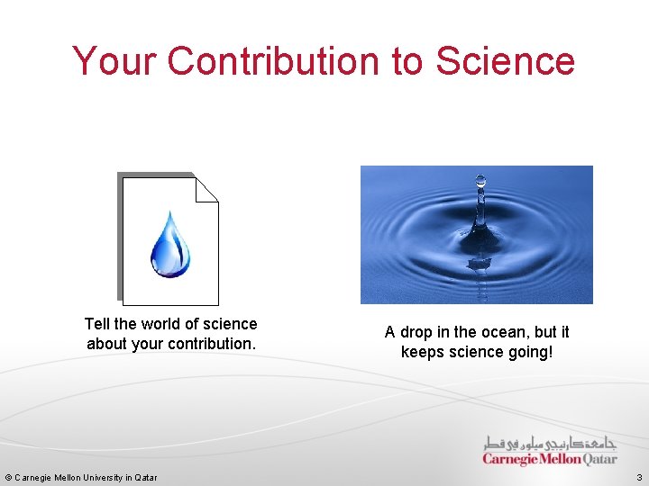 Your Contribution to Science Tell the world of science about your contribution. © Carnegie