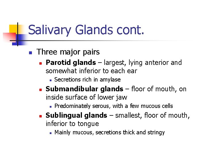 Salivary Glands cont. n Three major pairs n Parotid glands – largest, lying anterior